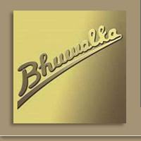 Bhuwalka Steel Industries Ltd.